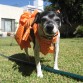 magui muy linda con su vestido 